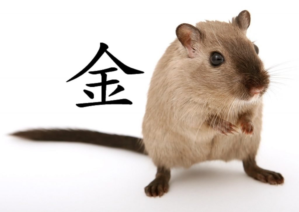 Rata de Metal
Año Nuevo Chino Feng Shui
Gōngxǐ fācái