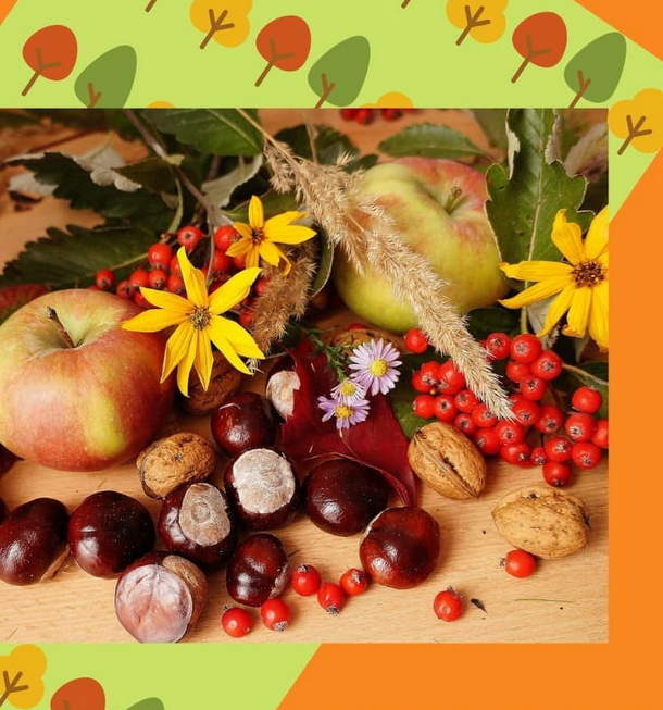 Frutos de otoño